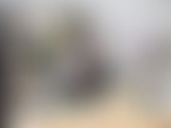 How to Mute AirPods
