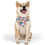 Thumbnail: Tropical - Pet Bandana Collar