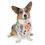 Thumbnail: Splash -  Pet Bandana Collar