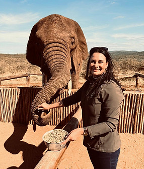 Safari Njema Elephant Encounters in Zululand Guided Elephant Encounters