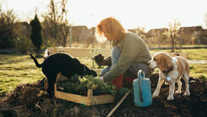 Spring into Sustainable Gardening