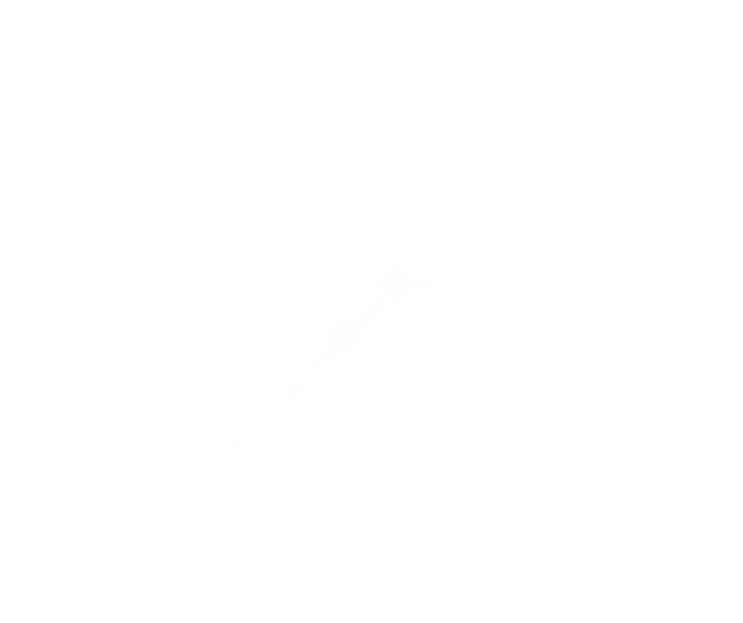 17.png