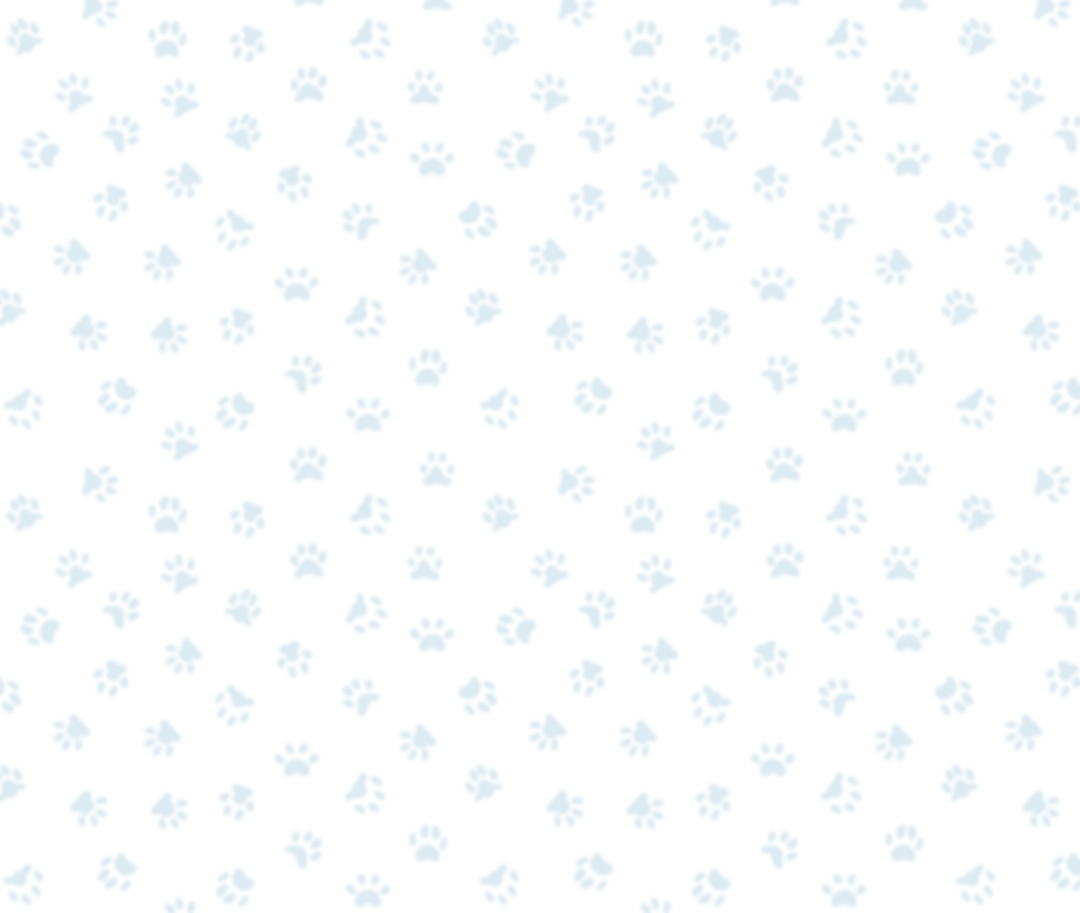 Untitled design (45).png
