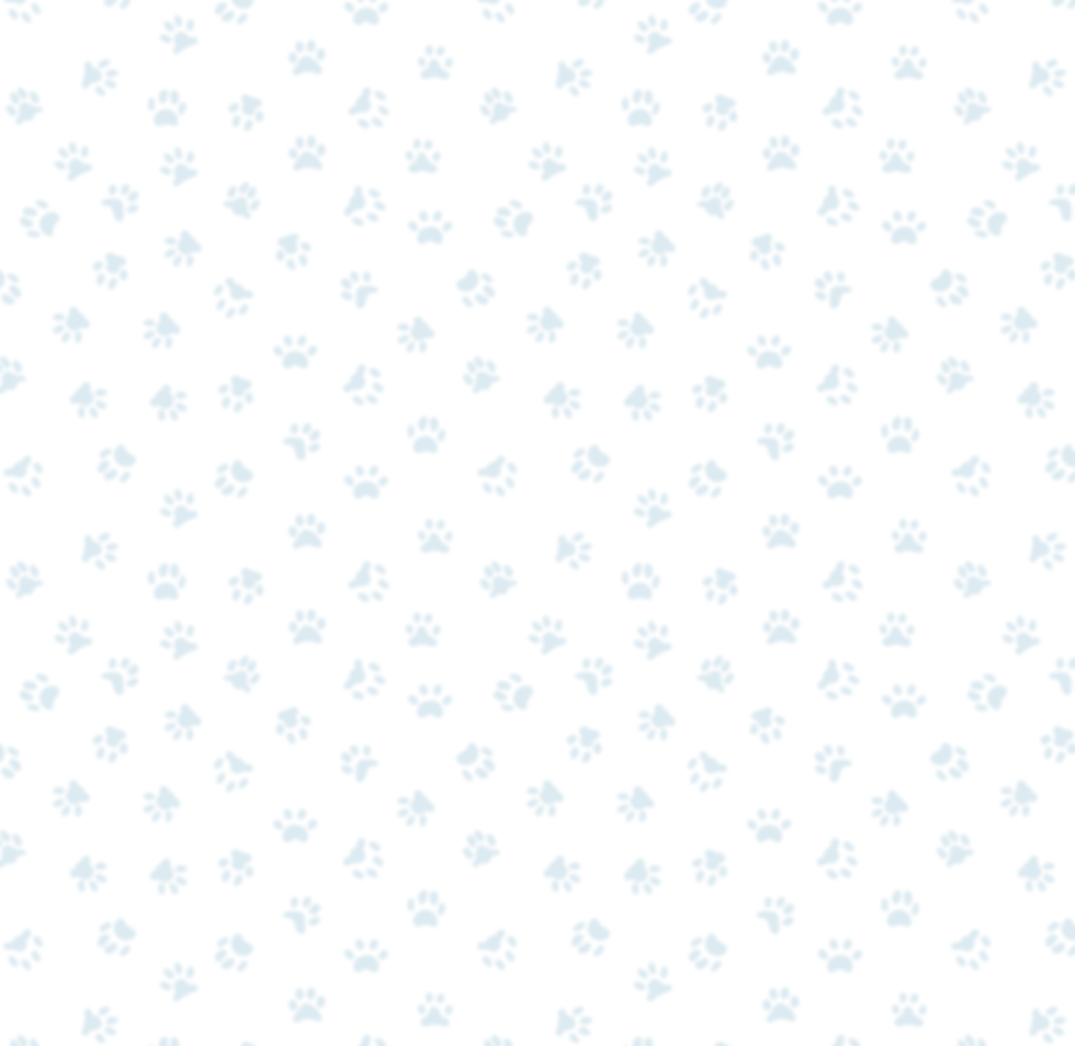 Untitled design (45).png