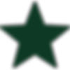 icons8-star 2