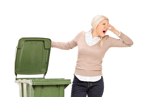 Residential Trash Can Cleaning .png