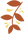sprig_edited_edited_edited.png