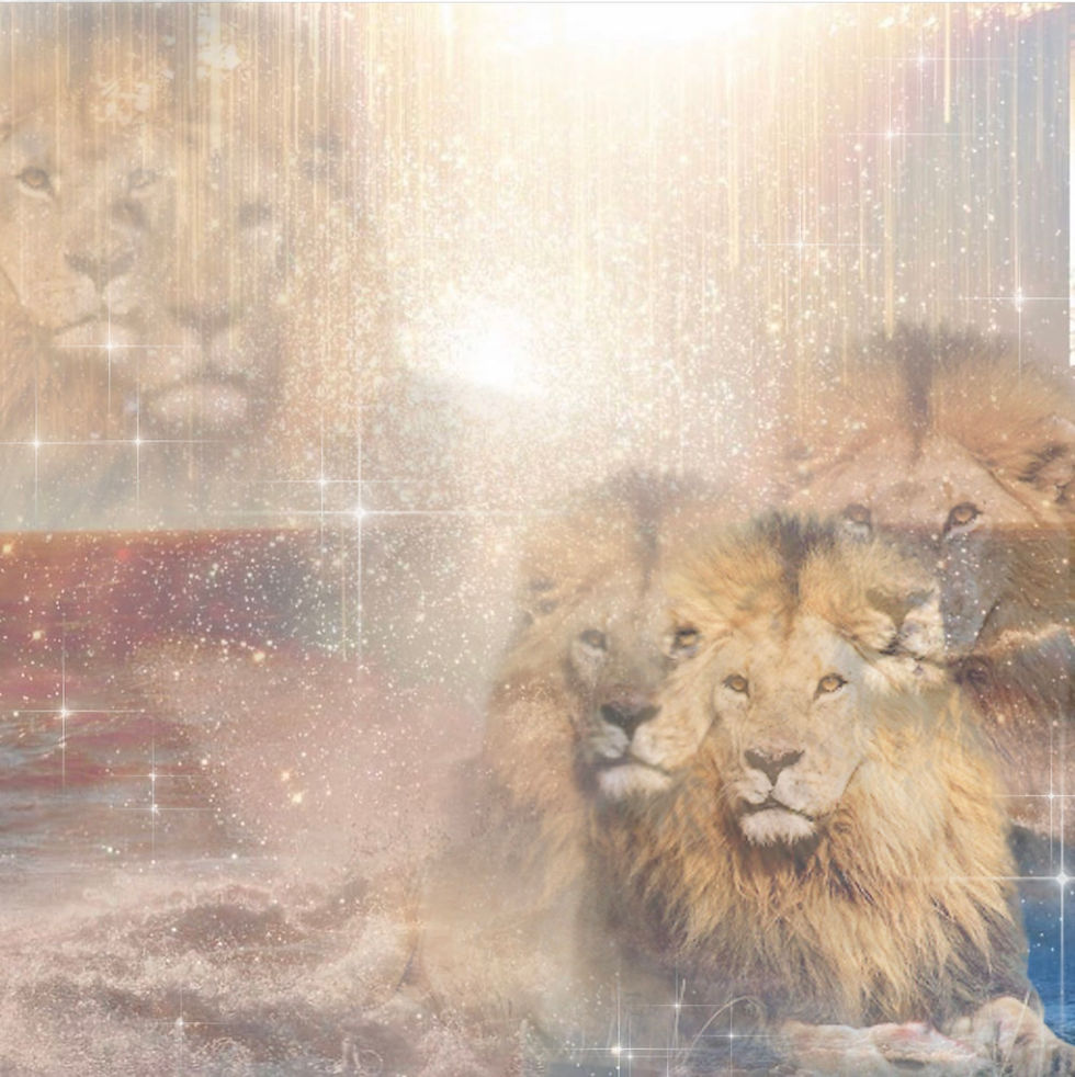 8/8 Lions Gate Guided Journey!