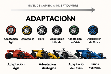 🛞 Neumáticos para el Cambio: 🏁Diagnosticar los Niveles de Adaptación Como un Fórmula 1 🏎