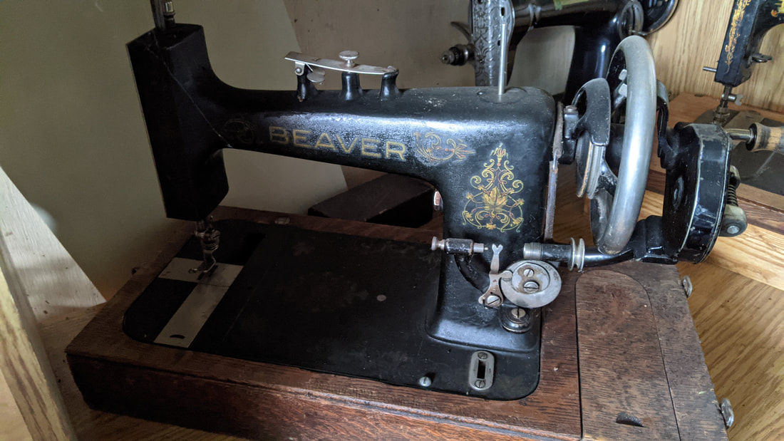 Pre 1900s Beaver