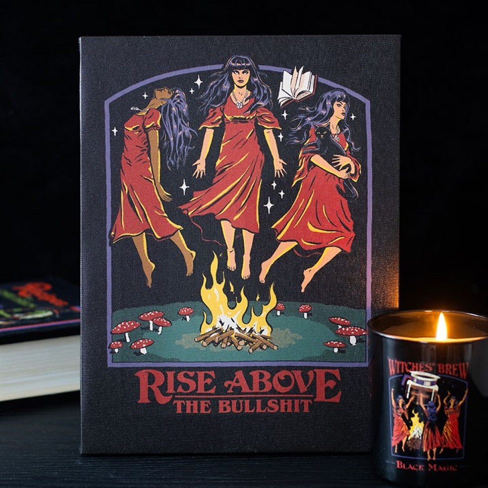 Thumbnail: 19x25cm Rise Above the Bullshit Canvas Plaque by Steven Rhodes
