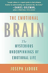 The Emotional Brain: The Mysterious Underpinnings of Emotional Life