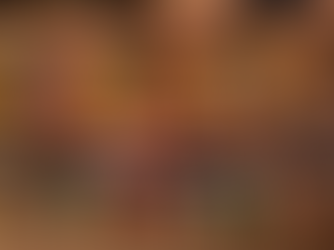 Kondapalli Toys: Traditional Craft of Andhra Pradesh