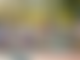 Toddler Ride-On Toys: The Perfect First Wheels for Your Little One