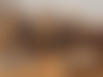 Charm Of Wooden Bike Toys