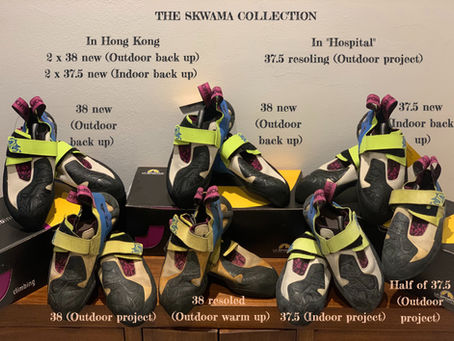 My climbing partners