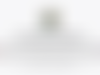 Japanese role-play GPT