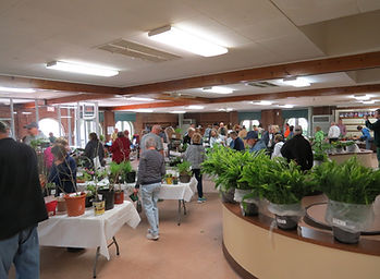 Annual Plant Sale