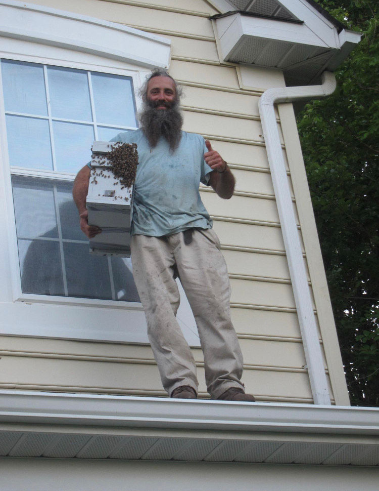 Thumbnail: Beekeeping 101 ~ A three part series