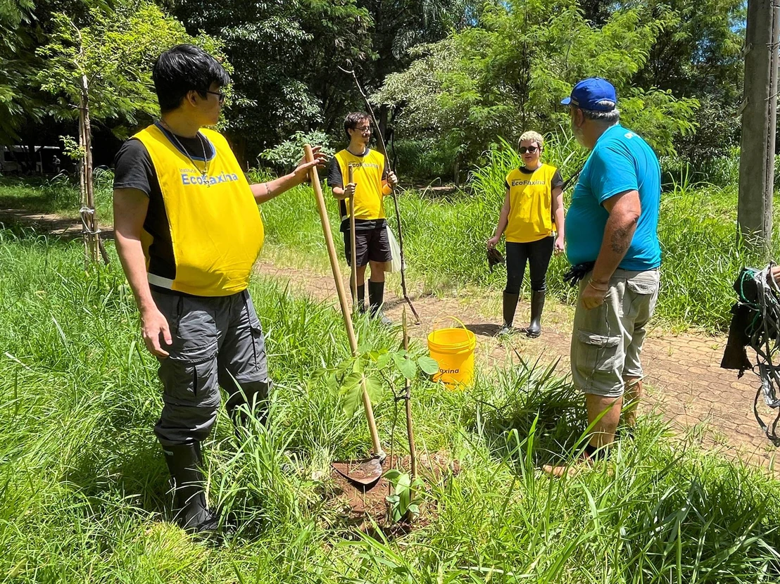 Voluntários plantando mudas de árvores nativas durante Ação Voluntária EcoFaxina.