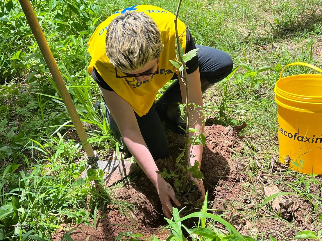 Voluntária plantando muda de árvore nativa durante Ação Voluntária EcoFaxina.