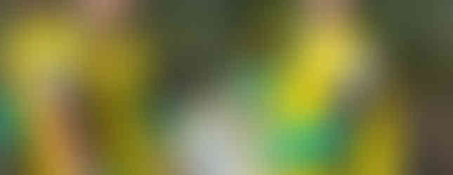 Voluntariado estudantil Colégio São José & Instituto EcoFaxina