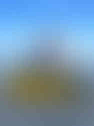 Siemens Healthineers e Instituto EcoFaxina invadem a Prainha Branca com ação de limpeza ambiental