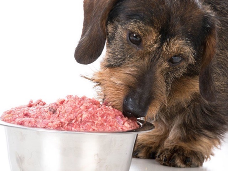 Alimentos para mascotas