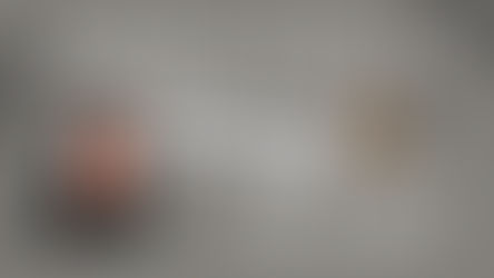 Five Personal Questions Answered!: Wisdom Unveiled Series Finale!