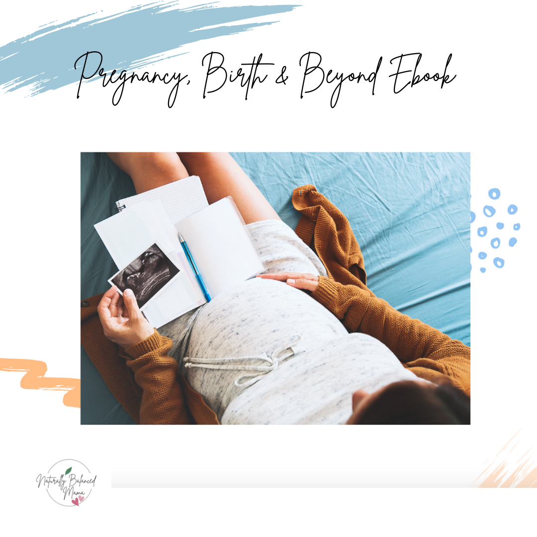 Pregnancy, Birth, Postpartum + Beyond Workshop