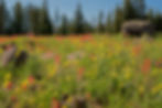 Grand Mesa