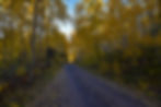A Pleasant Walk