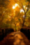 River Front Trail