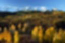 Dallas Divide Pass, CO