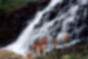 Sneffels Creek