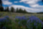 Grand Mesa