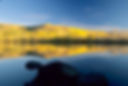 Patterson Res.