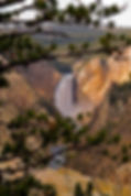 Lower Falls on the Yellowstone
