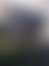 Műszaki mentéshez riasztották a tűzoltókat