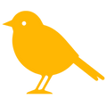 Untitled design (1).png