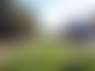 Inauguration Tram 8 Louise-Roodebeek