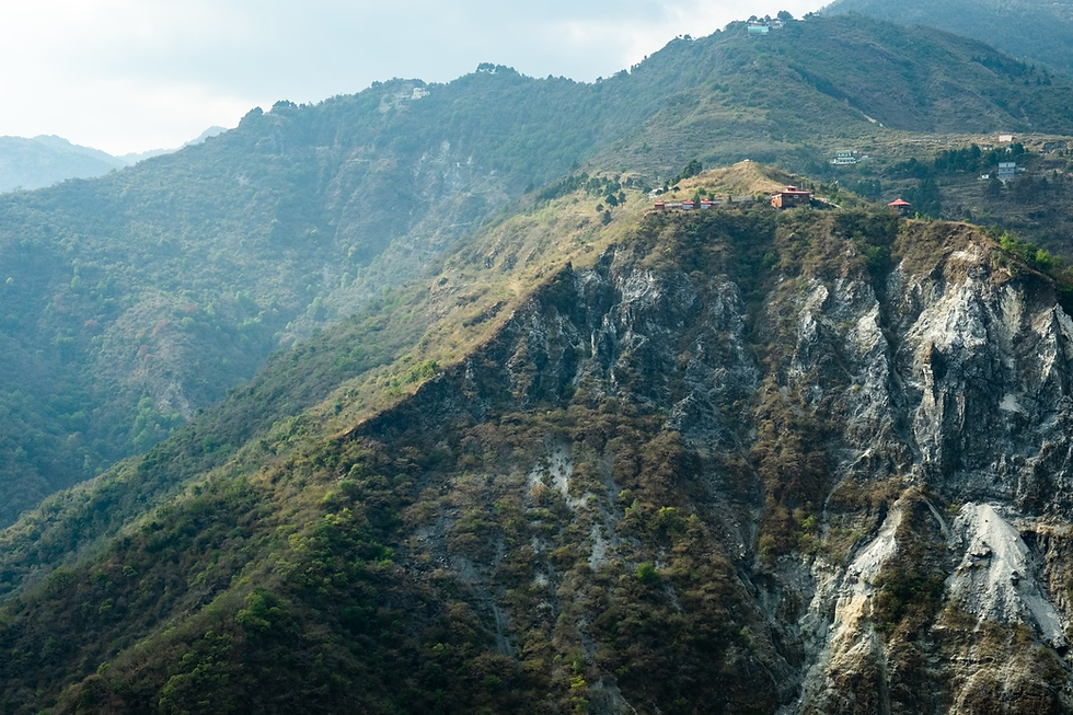 Sepehr Sajjadieh via Unsplash