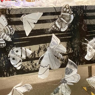 Window Art Activity: Moths to a Flame | The Art & Energy Collective