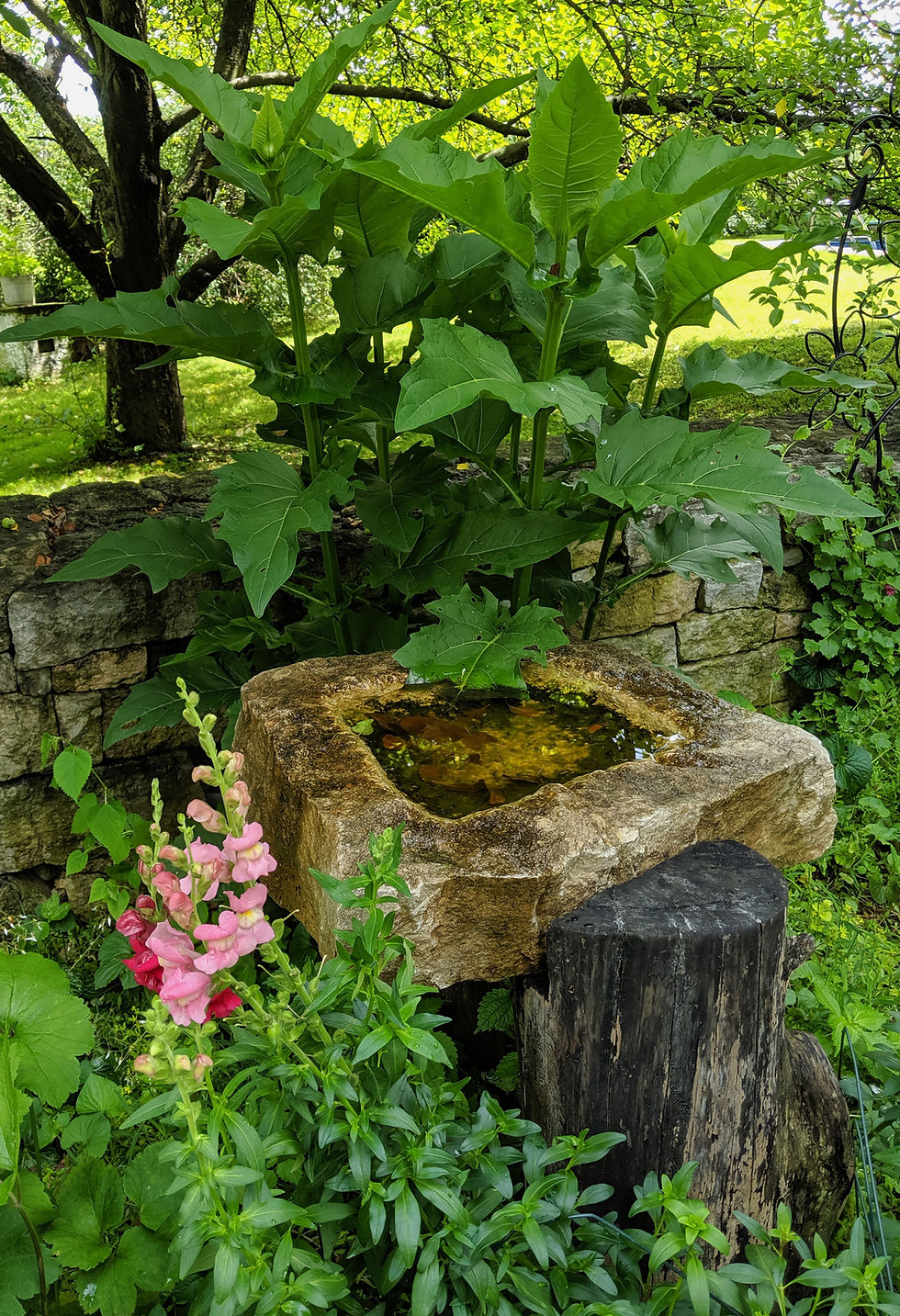 Birdbath