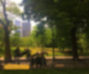 Cityofneyork.co.il סנטרל פארק ניו יורק.j