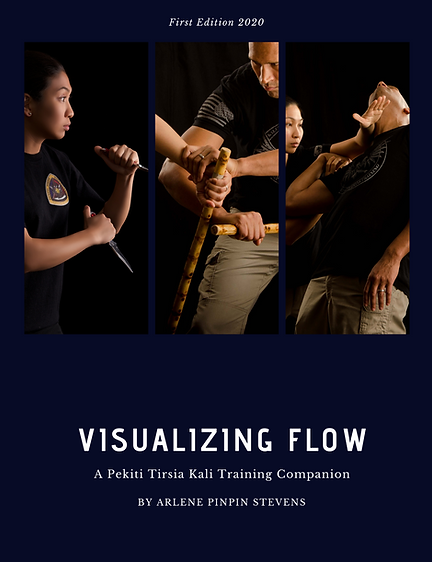 Visualizing Flow (front cover)