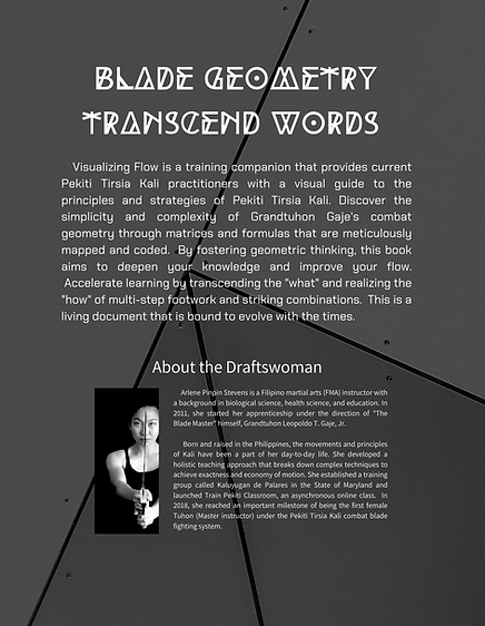 Visualizing Flow (back cover)