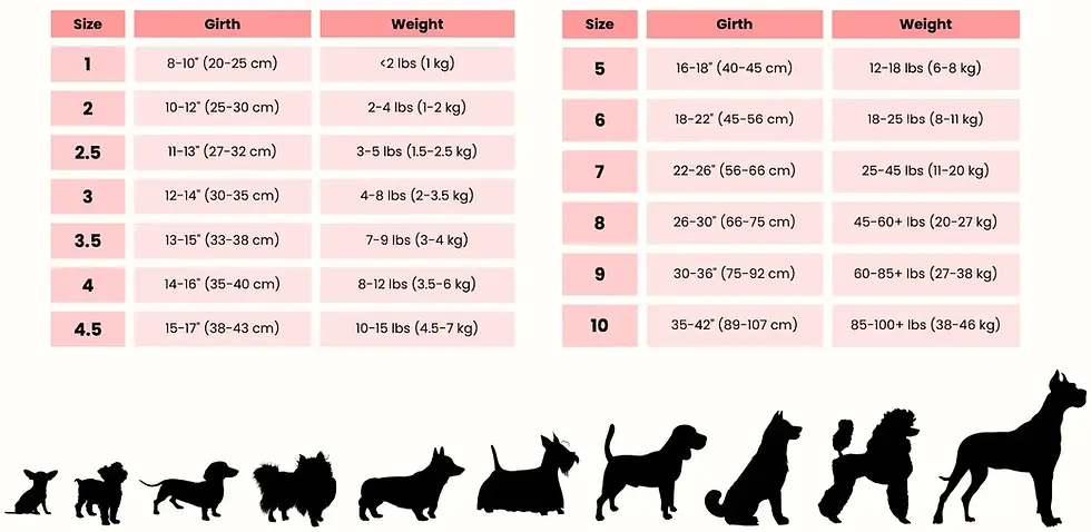 Thumbnail: Leather Harness – Premium(Plain)