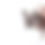 Thumbnail: Leather Harness – Premium(With Crystals)
