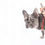 Thumbnail: Leather Harness –  LIMITED(Plain)